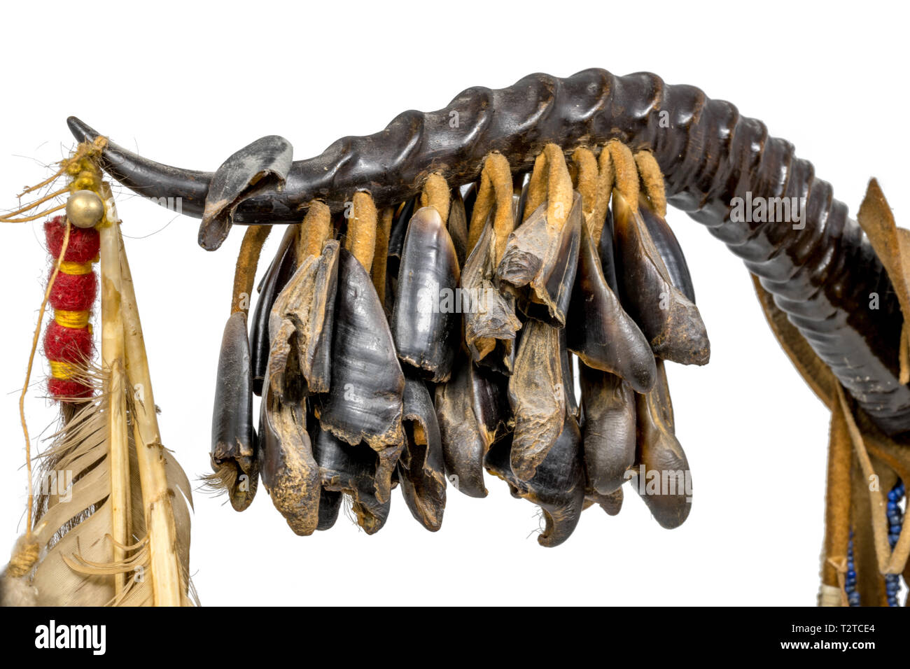 Dance rattle of the North American Indian horn with deer hooves and