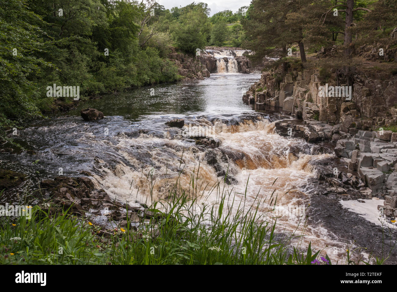 A scenic view of the Low Force waterfalls in Teesdale in north east Durham,England,UK Stock Photo
