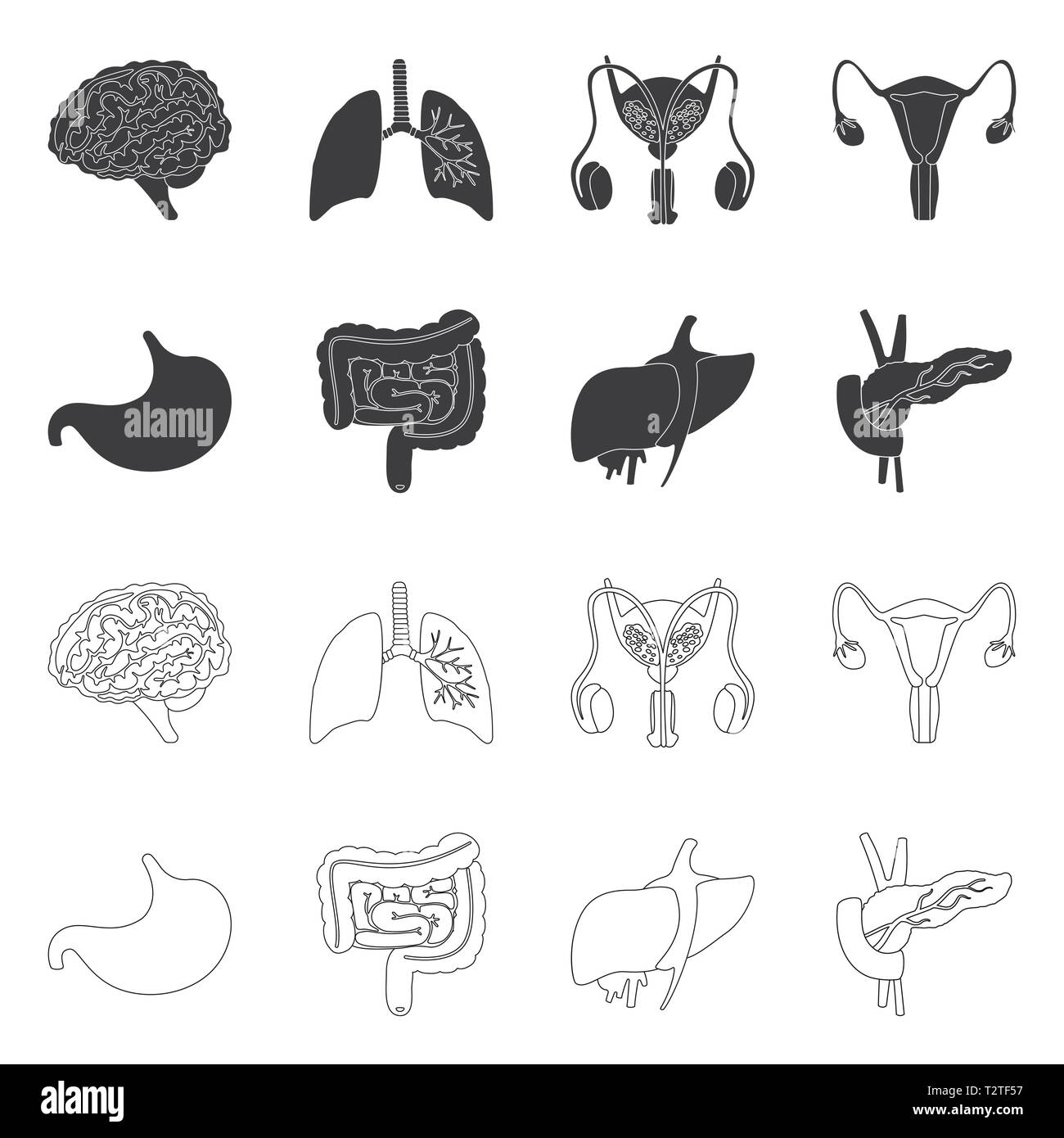Vector illustration of biology and scientific sign. Set of biology and ...