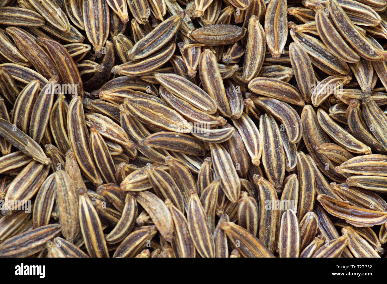 caraway seeds in closeup view background texture Stock Photo