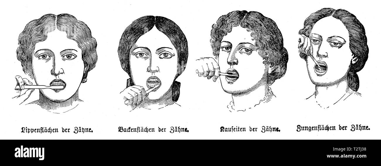 Teeth brushing instructions Lip surfaces of the teeth, cheek surfaces