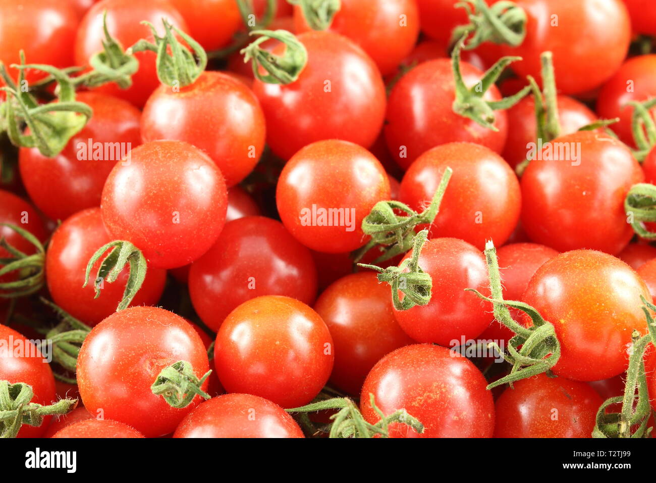 fresh wild currant tomatoes in closeup view Stock Photo