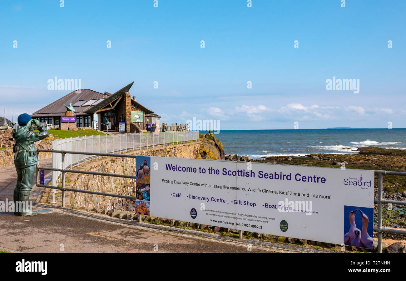 North Berwick, East Lothian, Scotland, United Kingdom, 4th April 2019. Scottish Seabird Centre reopens after 3 months of renovation and refurbishment. A life size statue called The Watcher by Kenny Hunter depicts a birdwatcher looking through binoculars outside the visitor centre Stock Photo