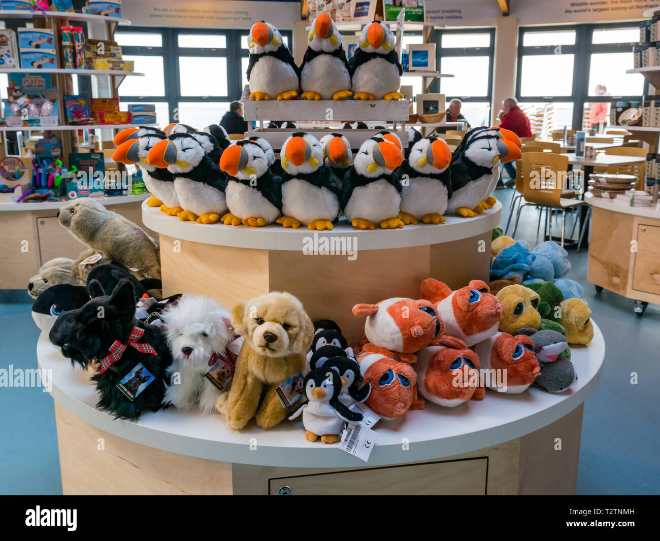 puffin rock plush toys