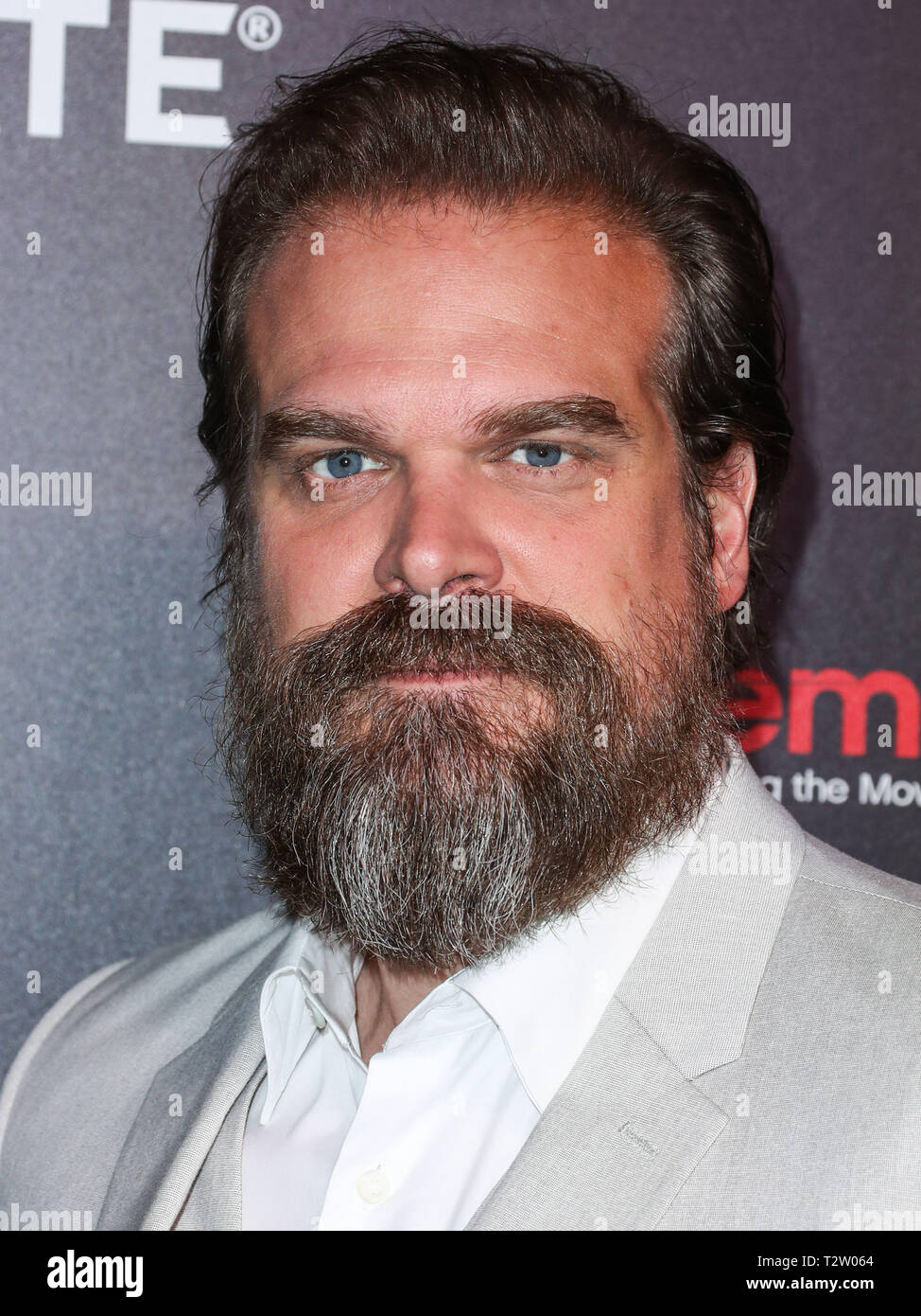 Page 2 David Harbour High Resolution Stock Photography And Images Alamy