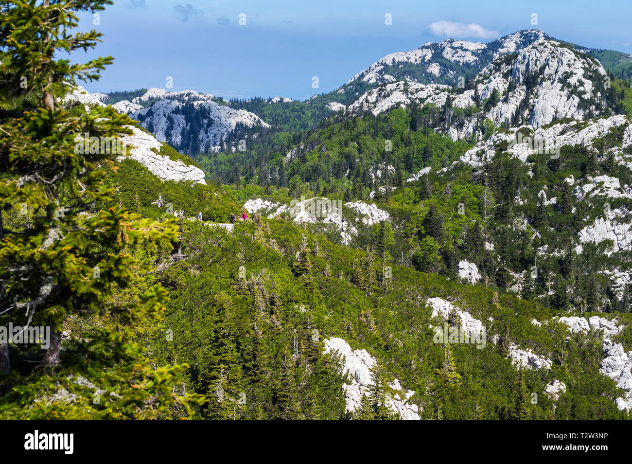 National park Sjeverni Velebit. One of the most beautiful parts of mountain Velebit. Croatia