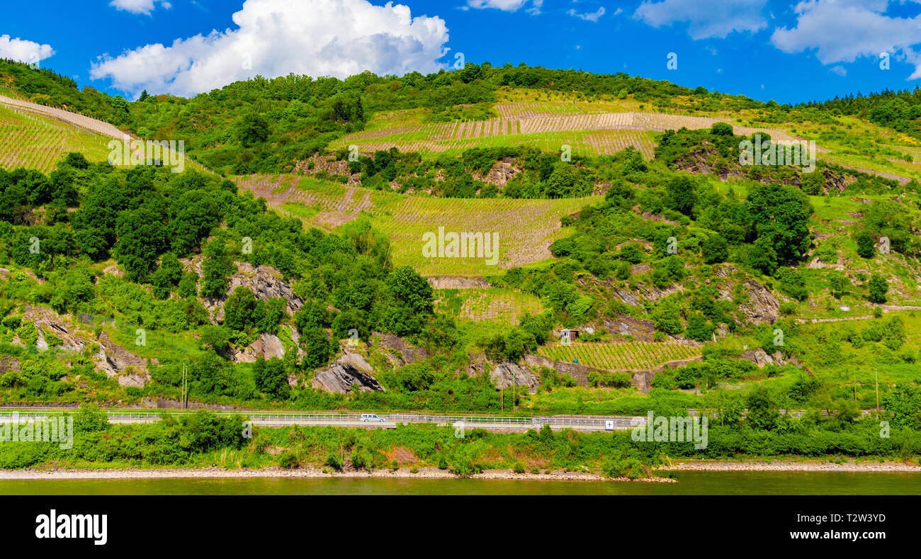 Lovely panoramic landscape view of the Rhine Gorge with its sloped vineyards between rocks & trees along the river on a nice sunny day with a blue sky. Stock Photo