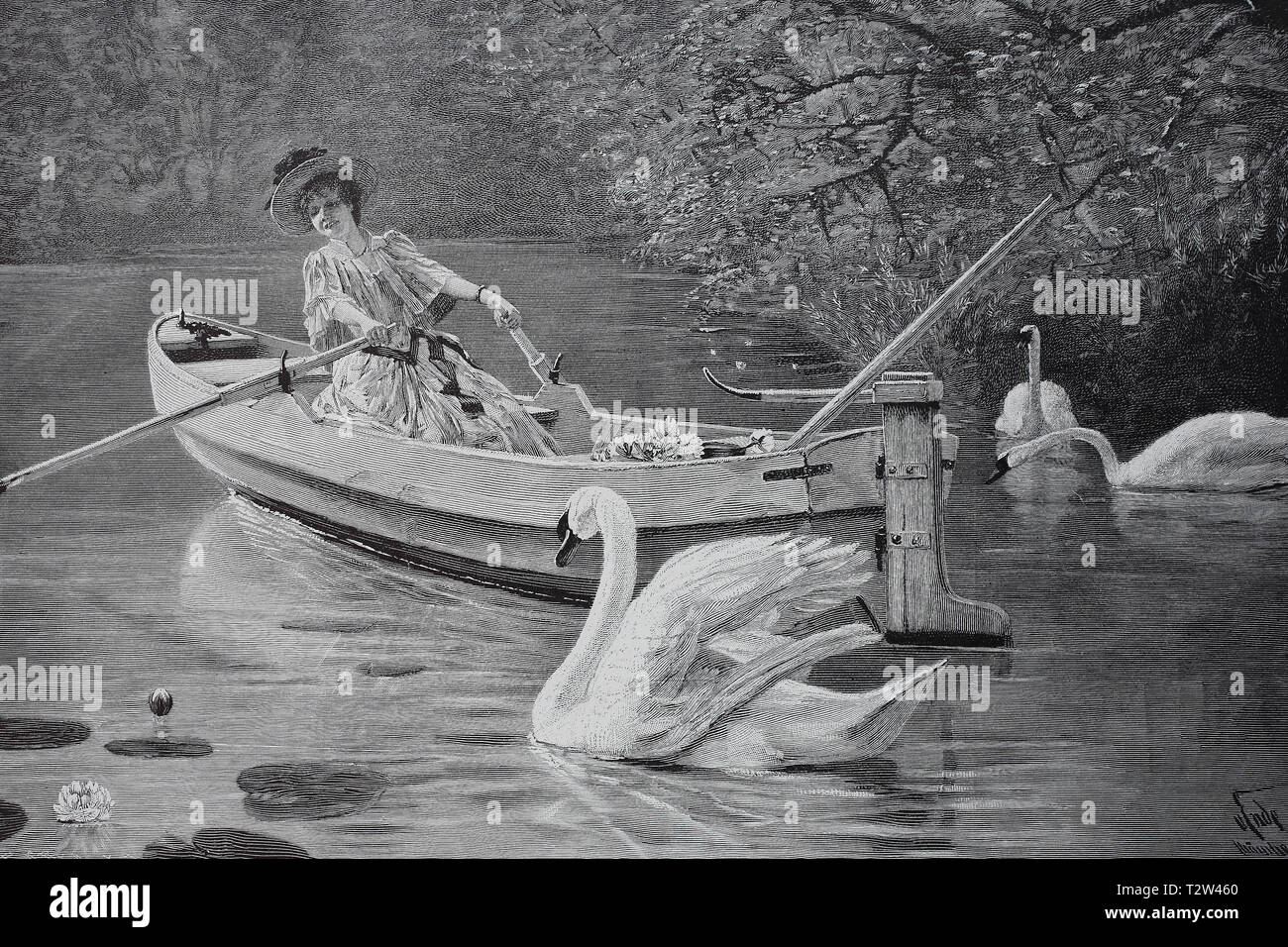 A swan pursues an elegant lady in an oar boat sits and has picked water lilies, Ein Schwan verfolgt eine elegante Dame die in einem Ruderboot sitzt und Seerosen gepflückt hat Stock Photo