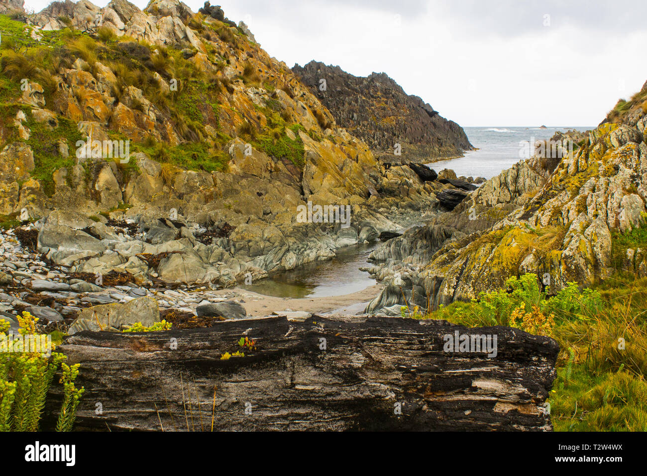 Sarah anne hi-res stock photography and images - Alamy
