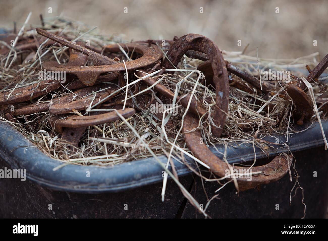 Pile horseshoes hires stock photography and images Alamy
