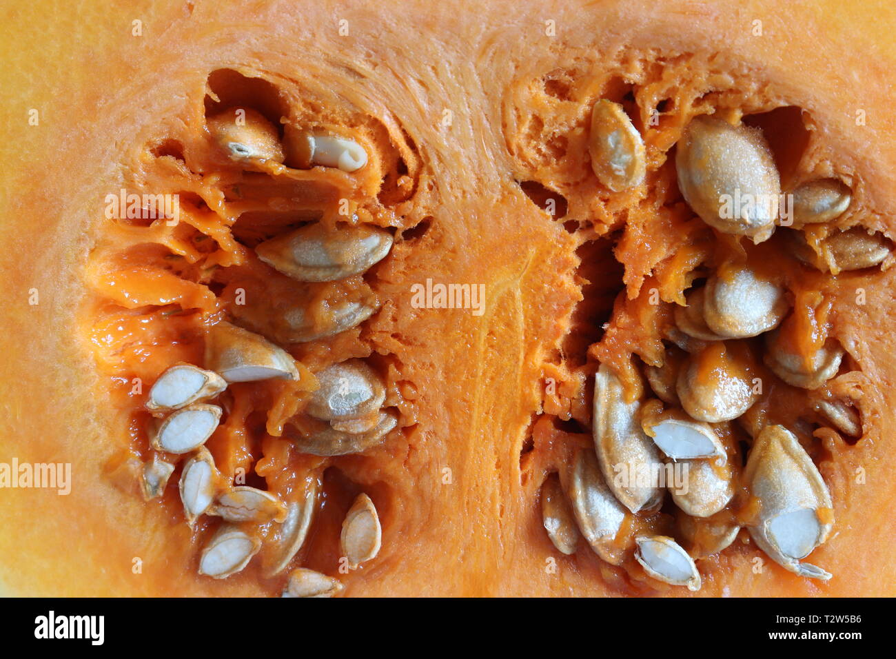 Innards Means Innards hi-res stock photography and images - Alamy