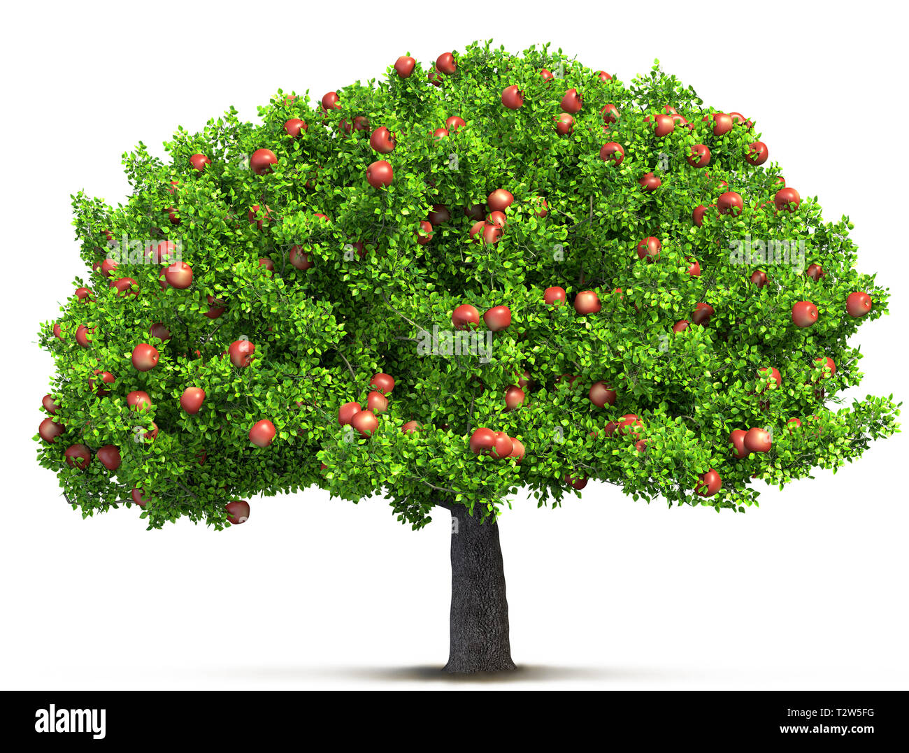 red apple tree isolated 3D illustration Stock Photo