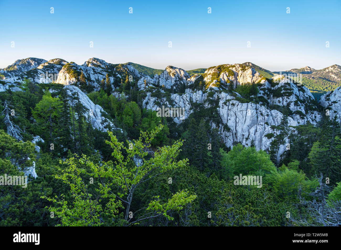 National park Sjeverni Velebit. One of the most beautiful parts of mountain Velebit. Croatia