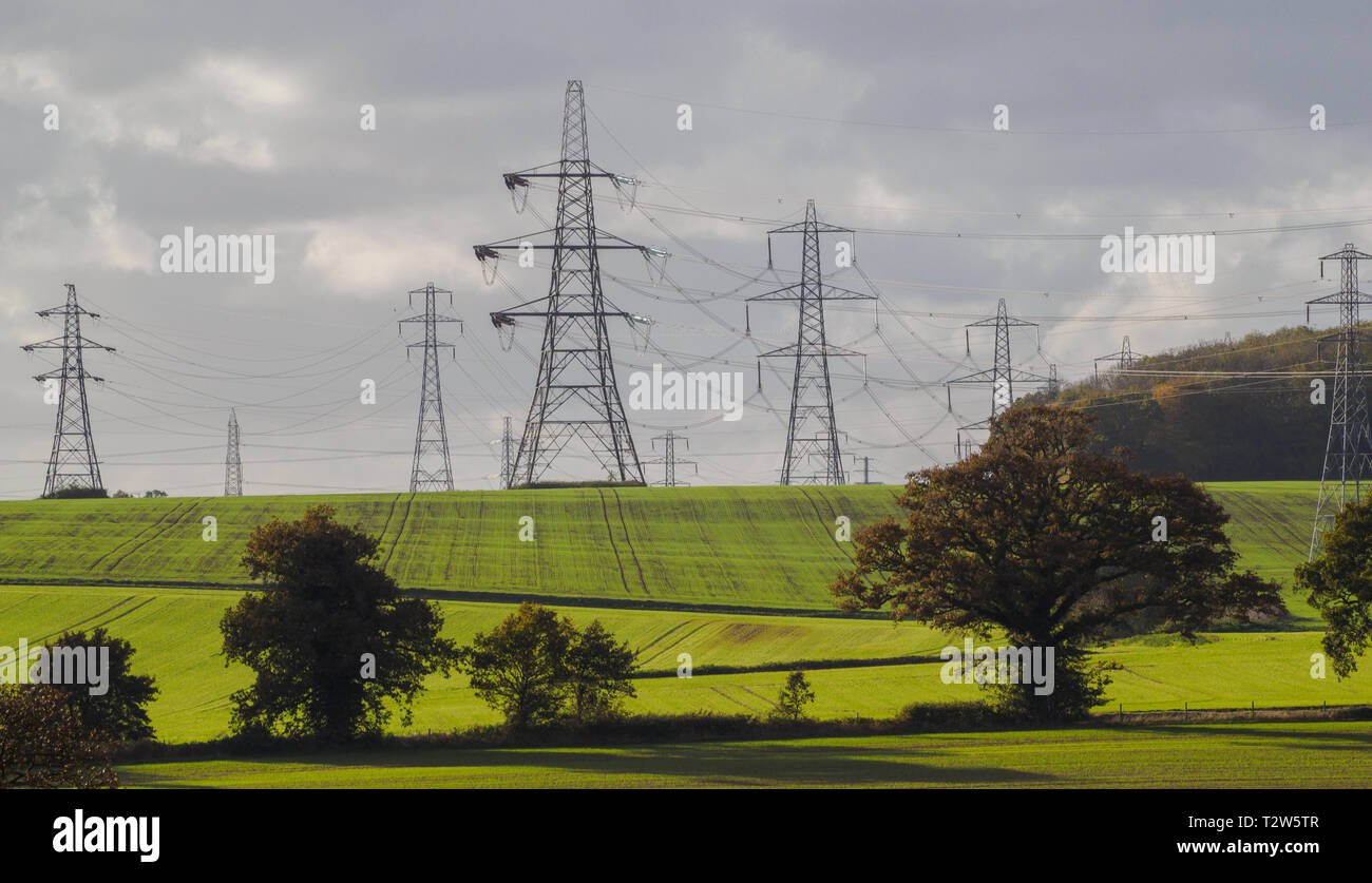 Energy power lines across fields in Essex Stock Photo Alamy