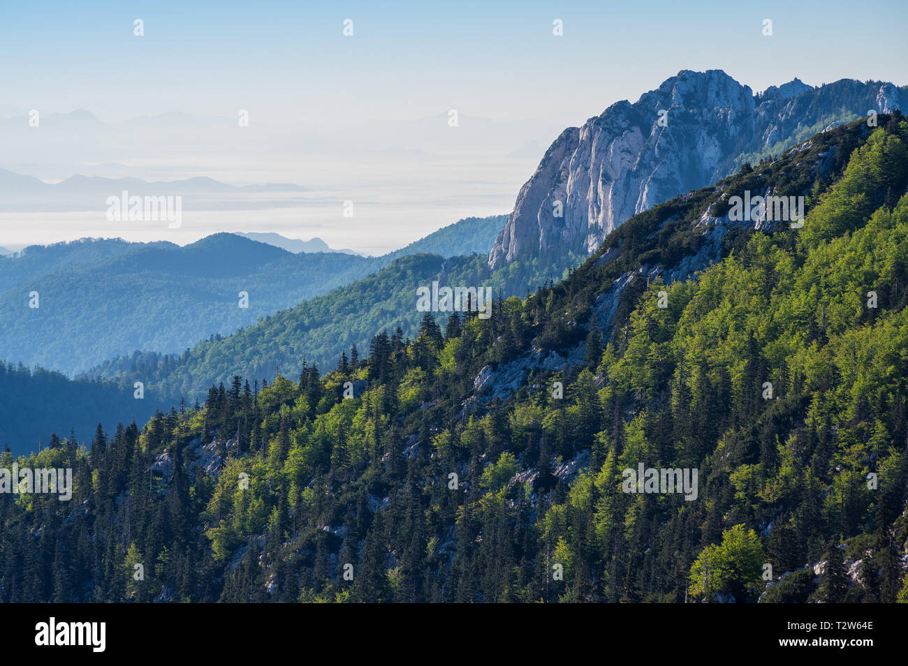 National park Sjeverni Velebit. One of the most beautiful parts of mountain Velebit. Croatia