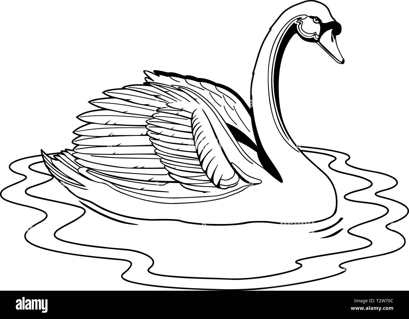 Illustration swan hires stock photography and images Alamy