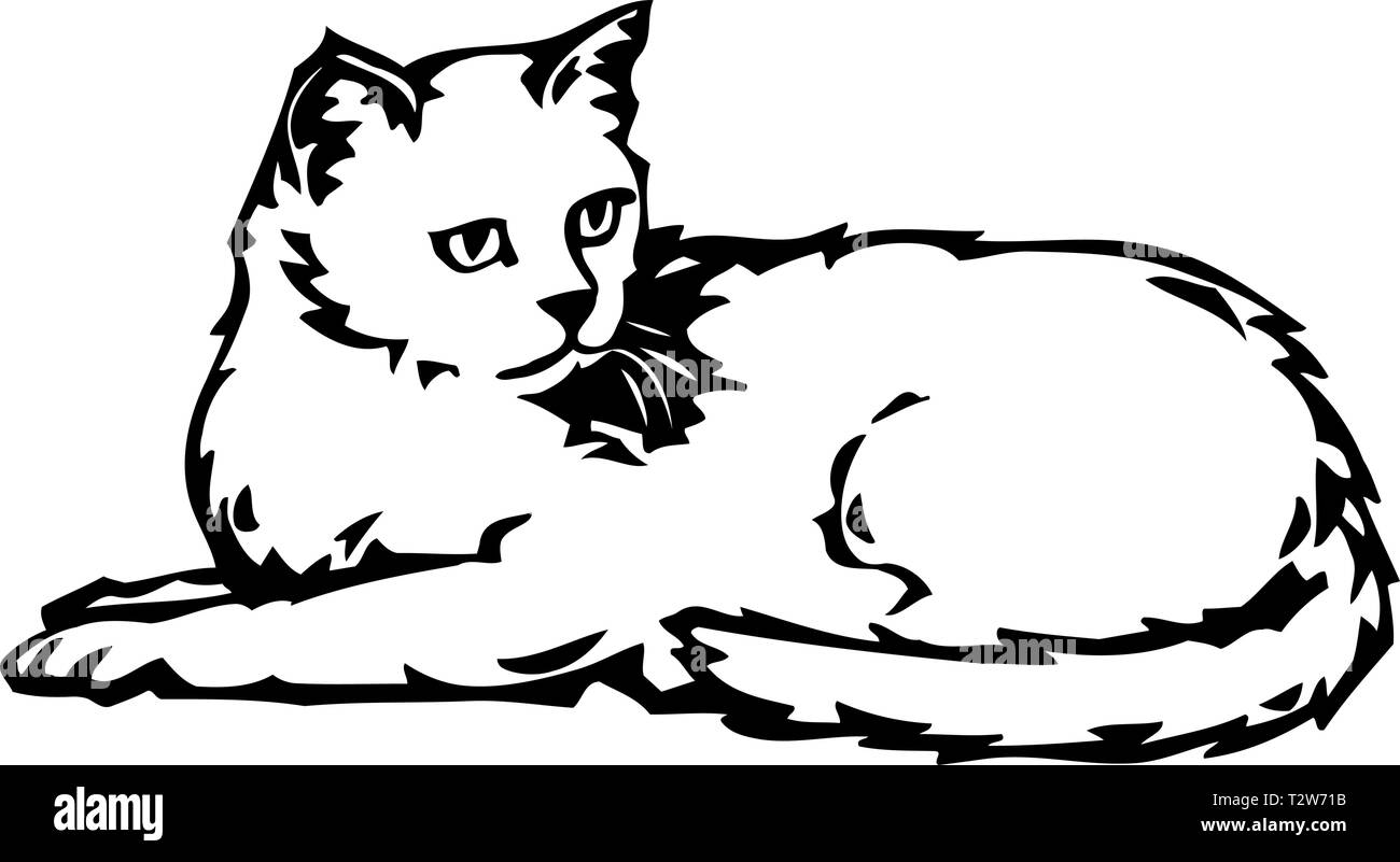 Cat Illustration Stock Vector Image Art Alamy