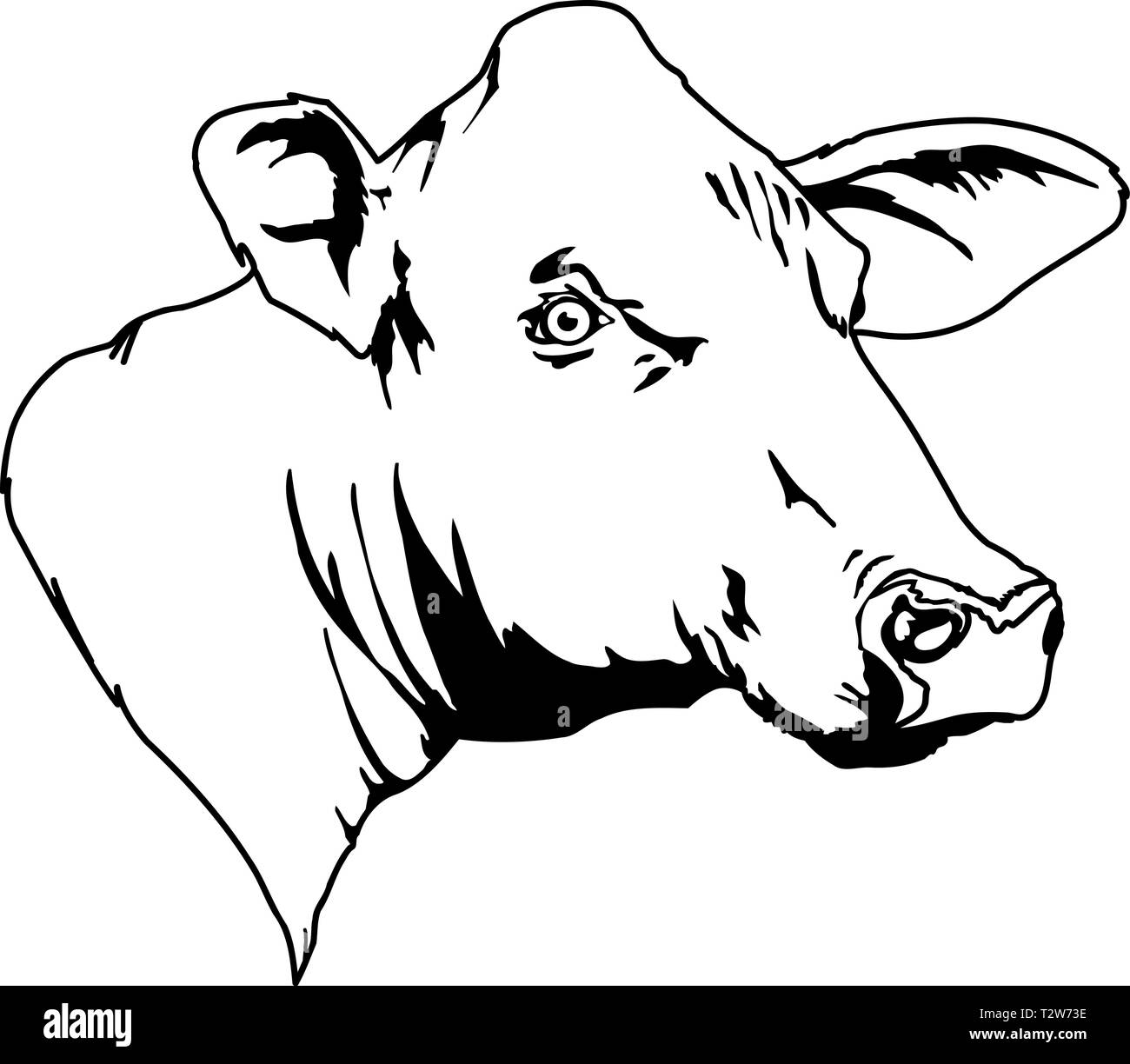 Cow Head Vector Illustration Stock Vector Image & Art Alamy
