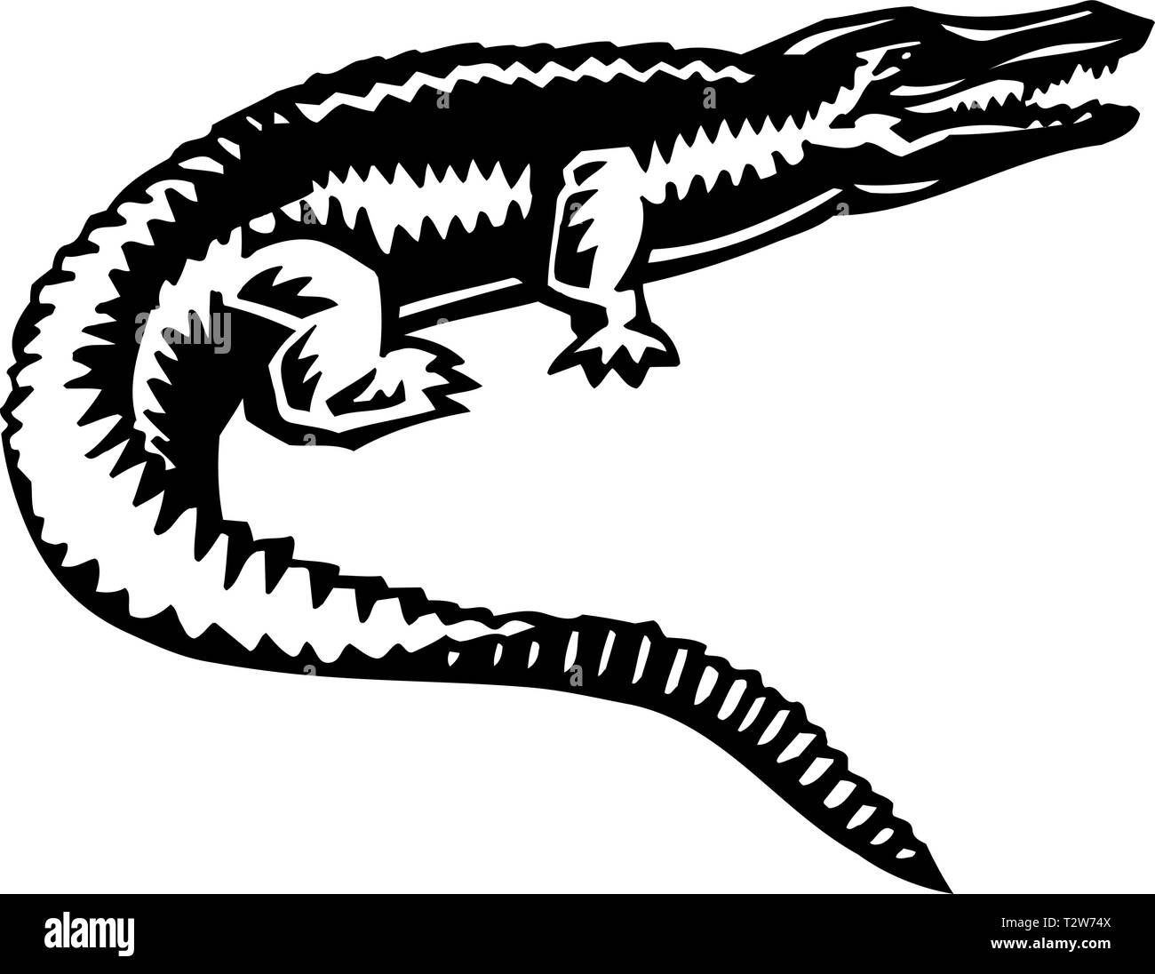 Alligator illustration hi-res stock photography and images - Alamy