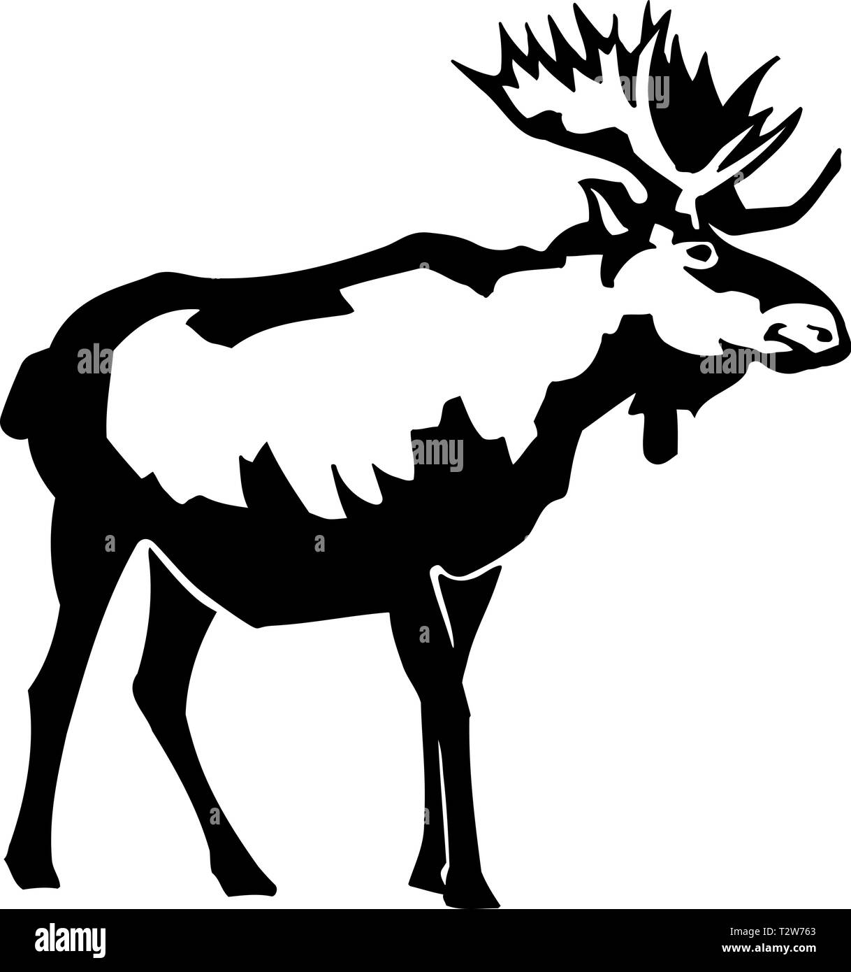 Moose with antlers Black and White Stock Photos & Images Alamy