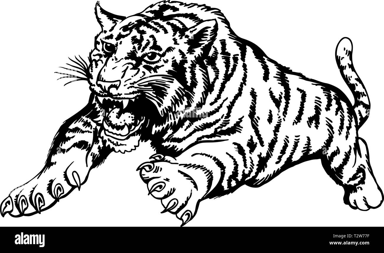 Tiger Attacking Vector Illustration Stock Vector