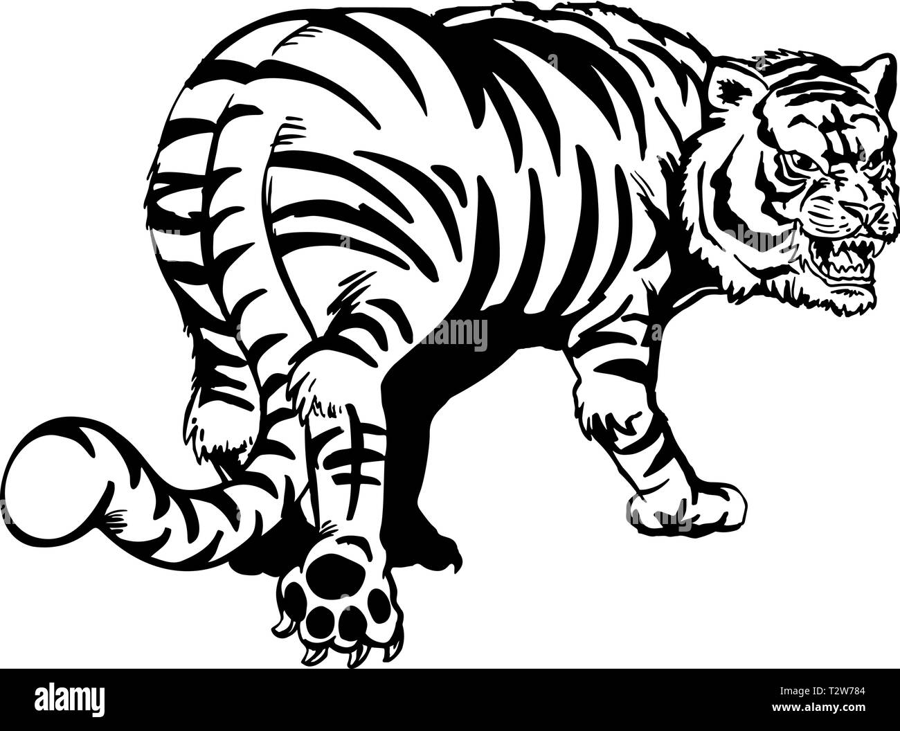 Vector Illustration Depicting a Tiger. Line Silhouette, Black and White,  Color. Stock Illustration - Illustration of roaring, monochrome: 76409599