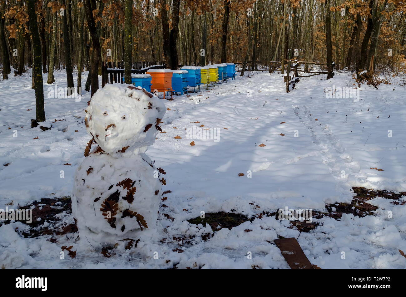 Snowy view toward apiary with bee hive and snowman in the winter field at deciduous forest, Zavet town, Bulgaria Stock Photo