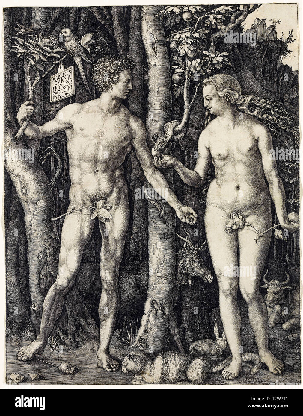 Albrecht Dürer, Adam and Eve, copper engraving, 1504 Stock Photo