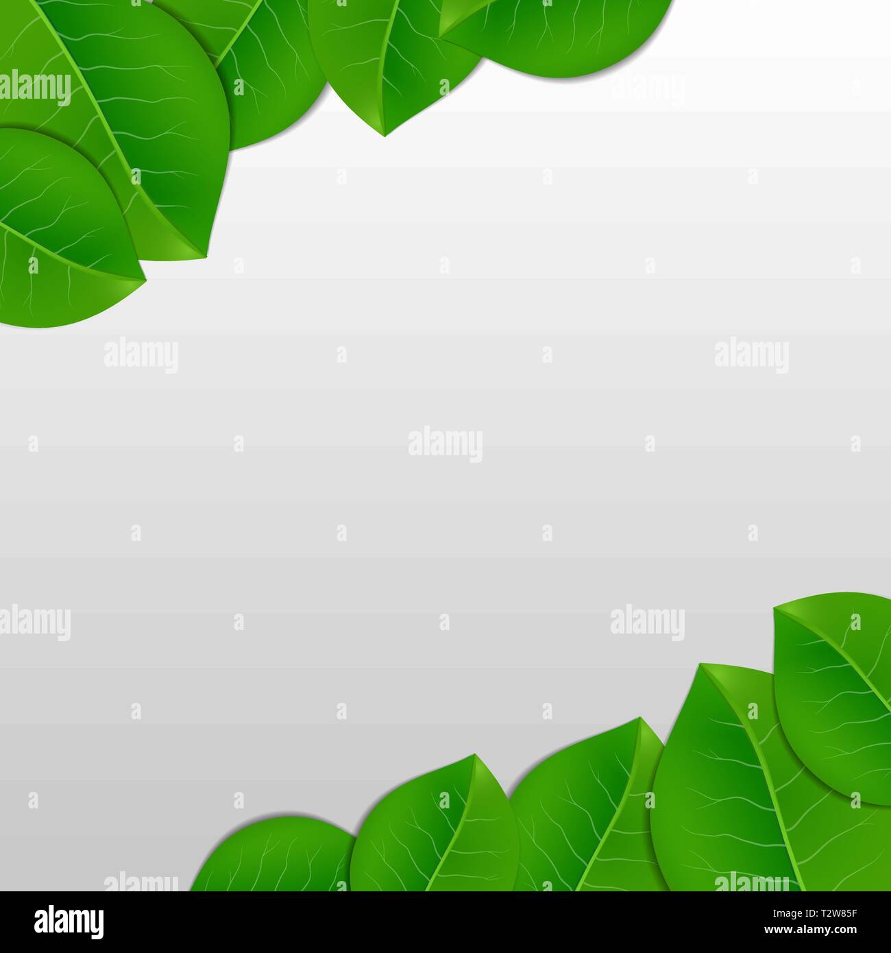 Nature green leaves Vector abstract background illustration Stock ...