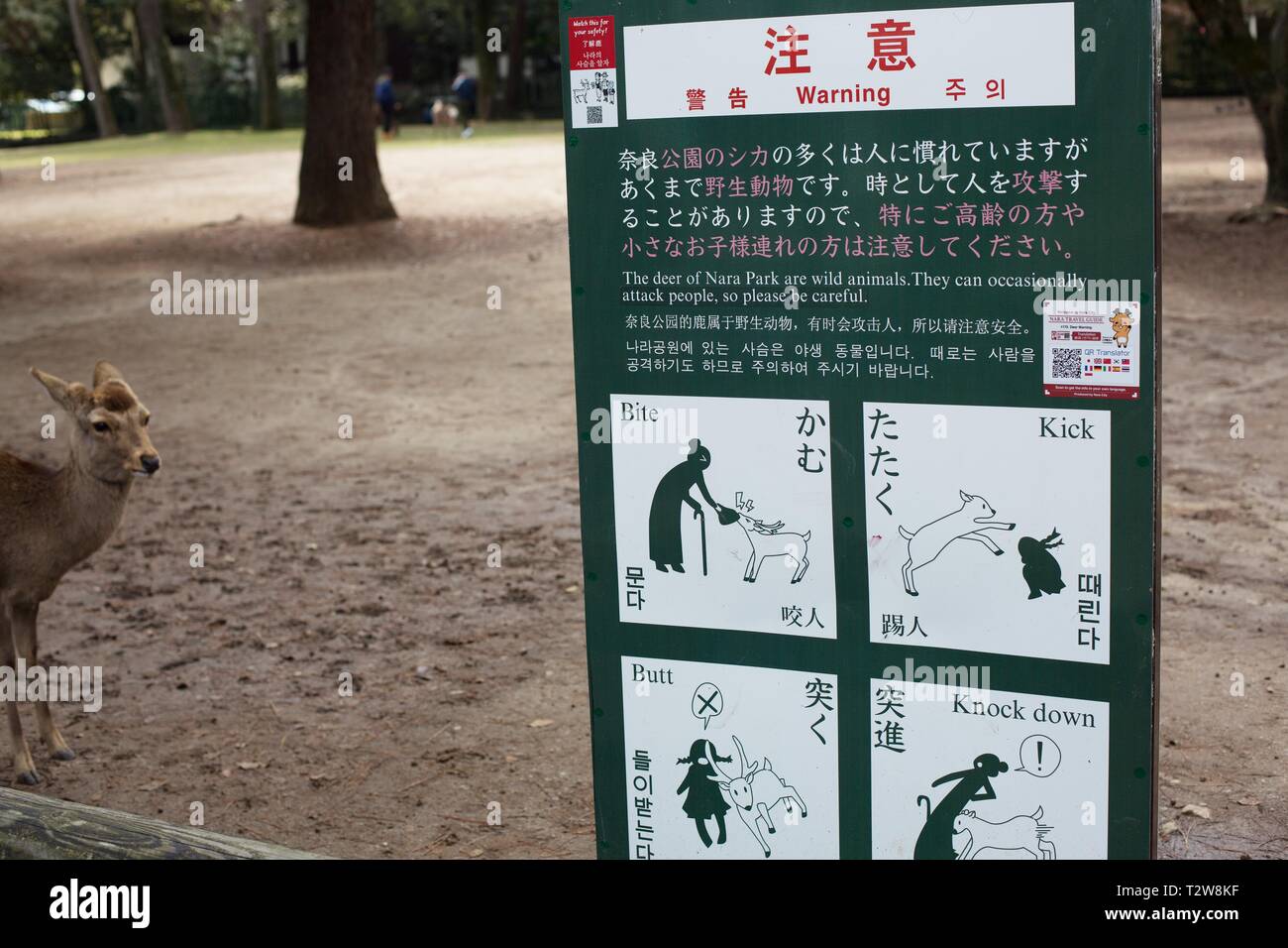 A sign warning of possible aggressive behaviors in deer, in Nara, Japan. Stock Photo