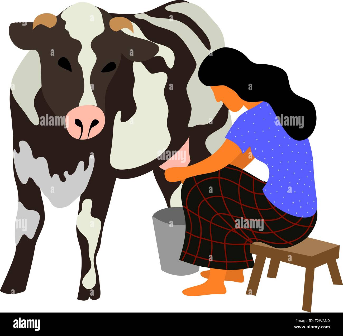 A woman sits on a chair and milks a black and white cow on a white background. Cute flat isolated vector illustration Stock Vector