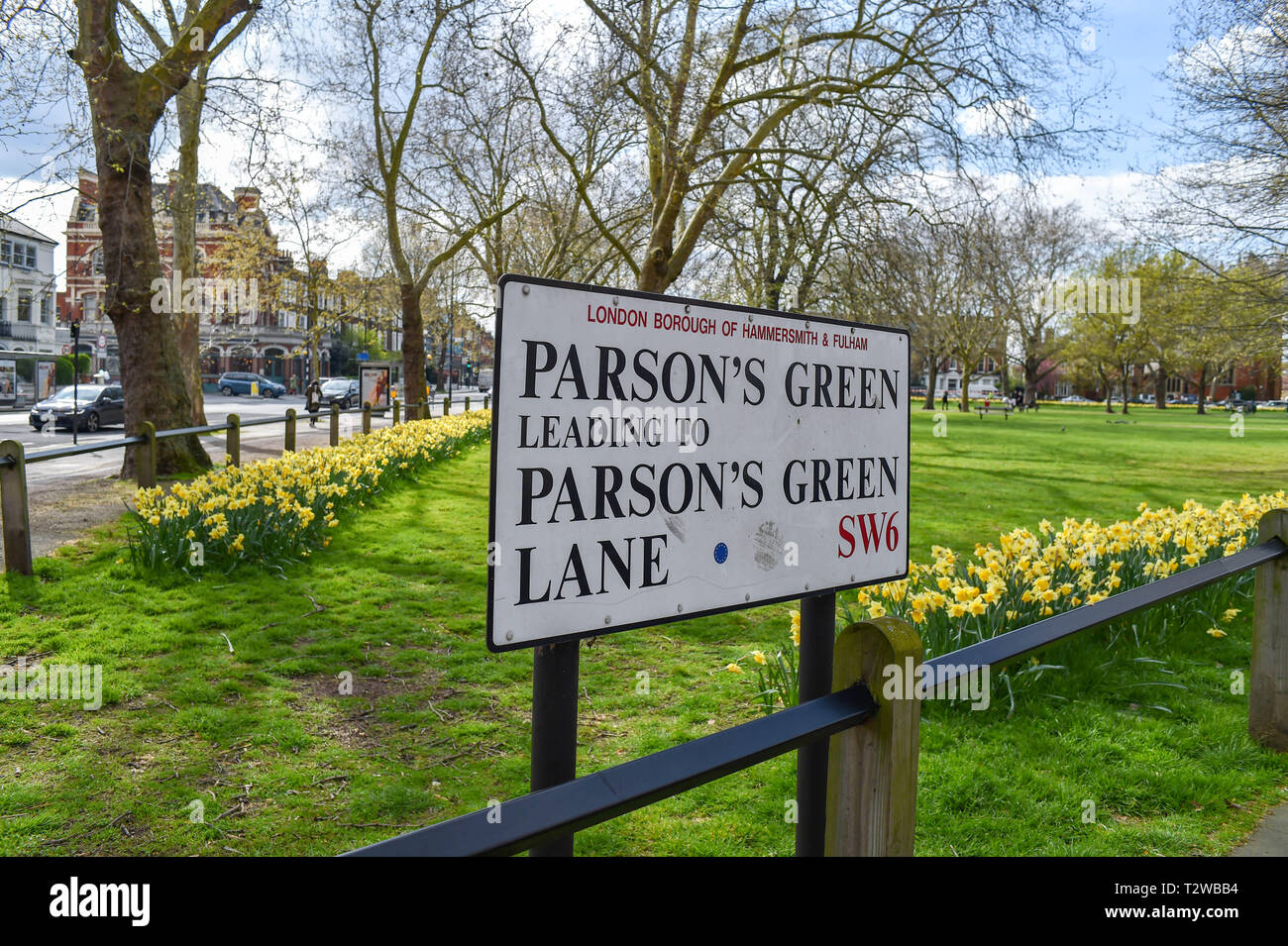 Parsons Green and Parsons Green Lane in South West London UK with daffodils in bloom Stock Photo