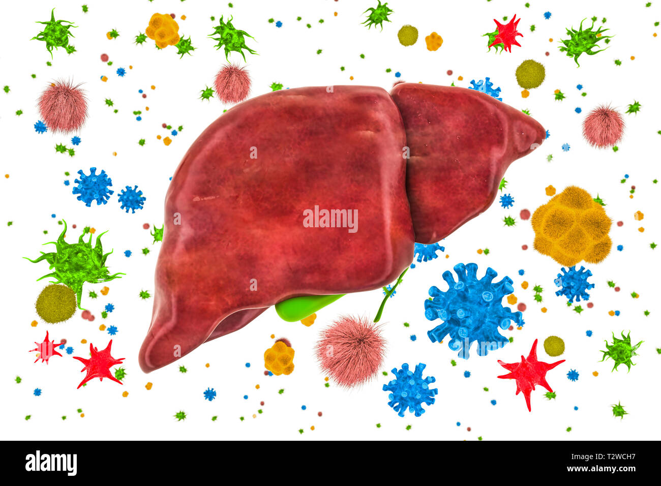 Liver with viruses and bacteria. Liver or gallbladder disease concept, 3D rendering isolated on white background Stock Photo