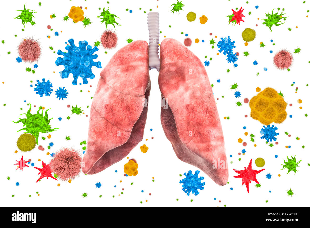 Lungs with viruses and bacteria. Lungs disease, infection concept, 3D rendering isolated on white background Stock Photo