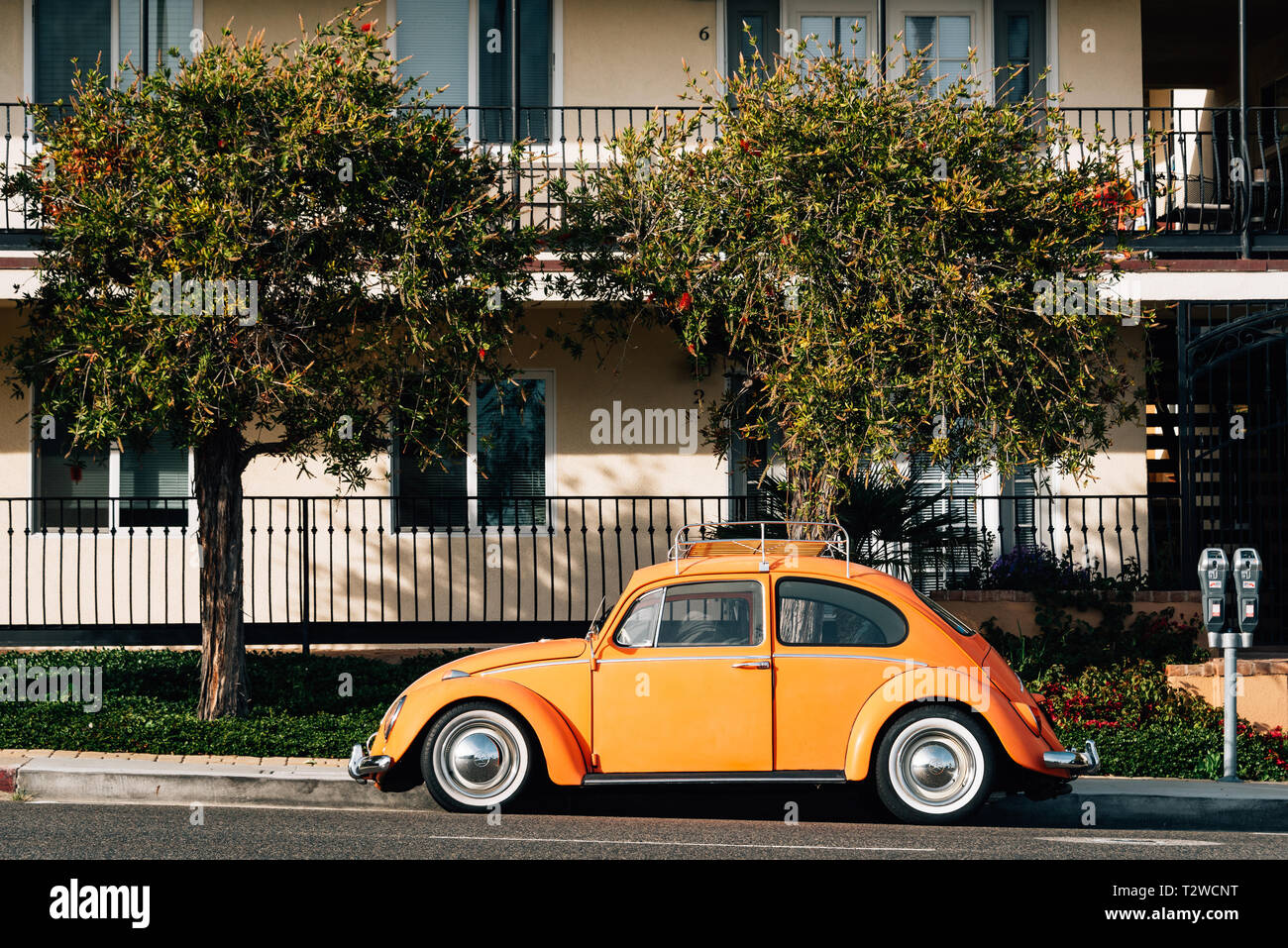 Vintage orange Volkswagen Beetle, on Pacific Coast Highway in Laguna Beach, California Stock Photo