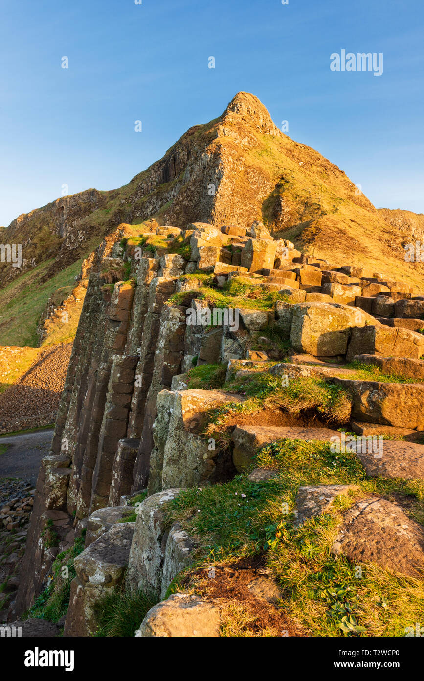 On the Causeway coast of North Antrim the Giant's Causeway where polygonal basalt rocks reveal a Northern Ireland section of the Thulean Plateau. Stock Photo