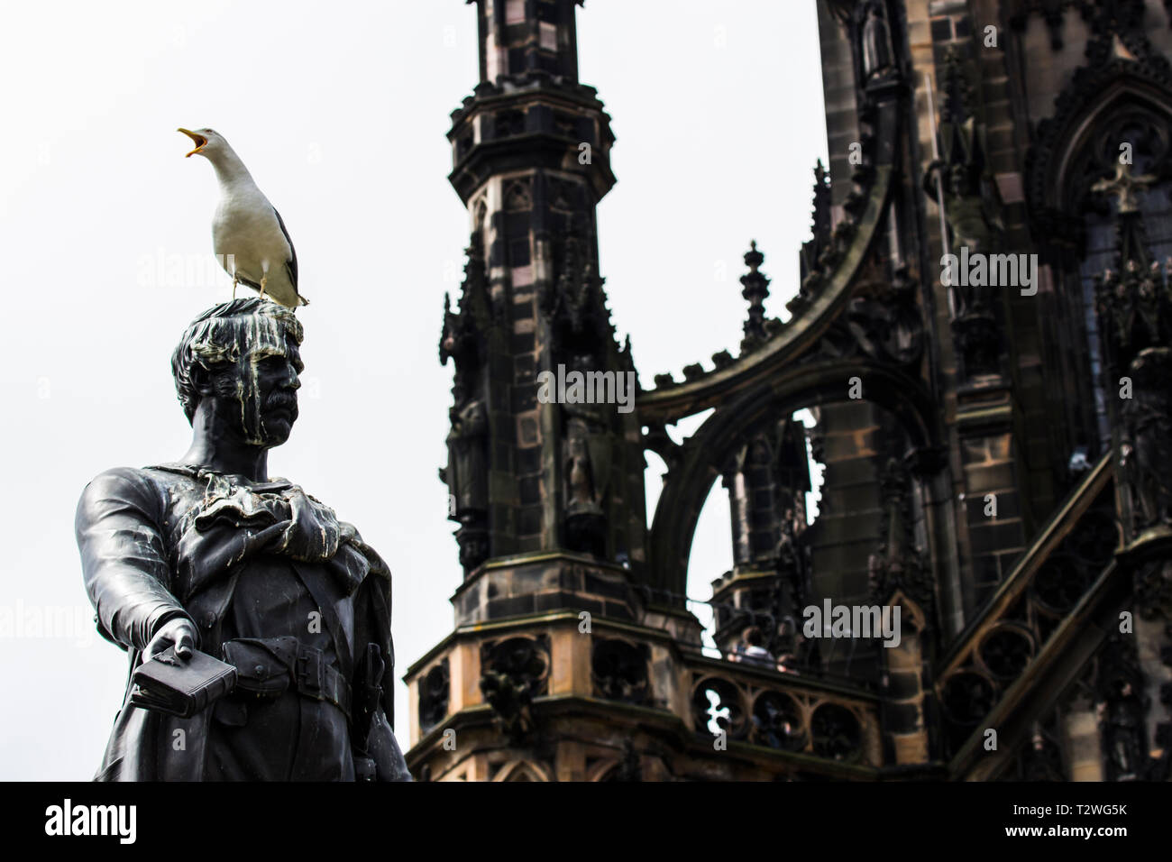 Bird pooping on statue Stock Photo Alamy
