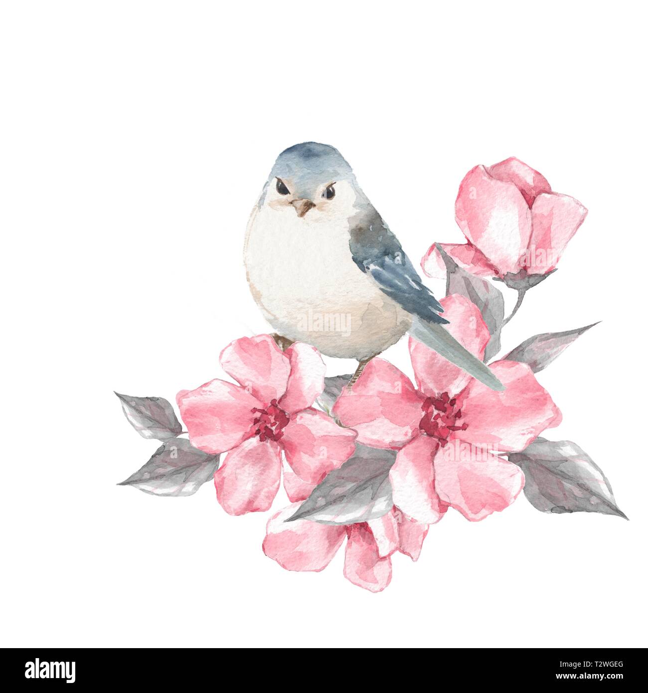 Cute bird and pink flowers. Watercolor painting Stock Photo