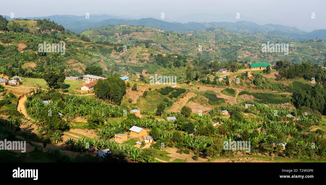 Banana and tea plantations in hill country north of Lake Bunyonyi in South West Uganda, East Africa Stock Photo