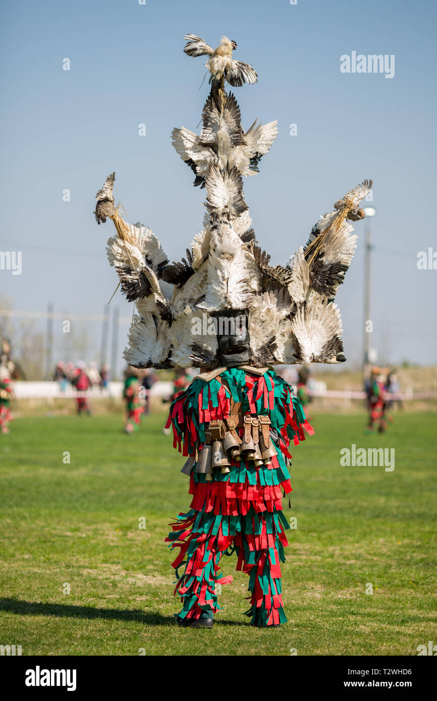 VARVARA, BULGARIA - MARCH 24, 2019: Moment from National Festival Dervish Varvara presents traditions of Bulgarian Kuker Games. Participant walks with Stock Photo