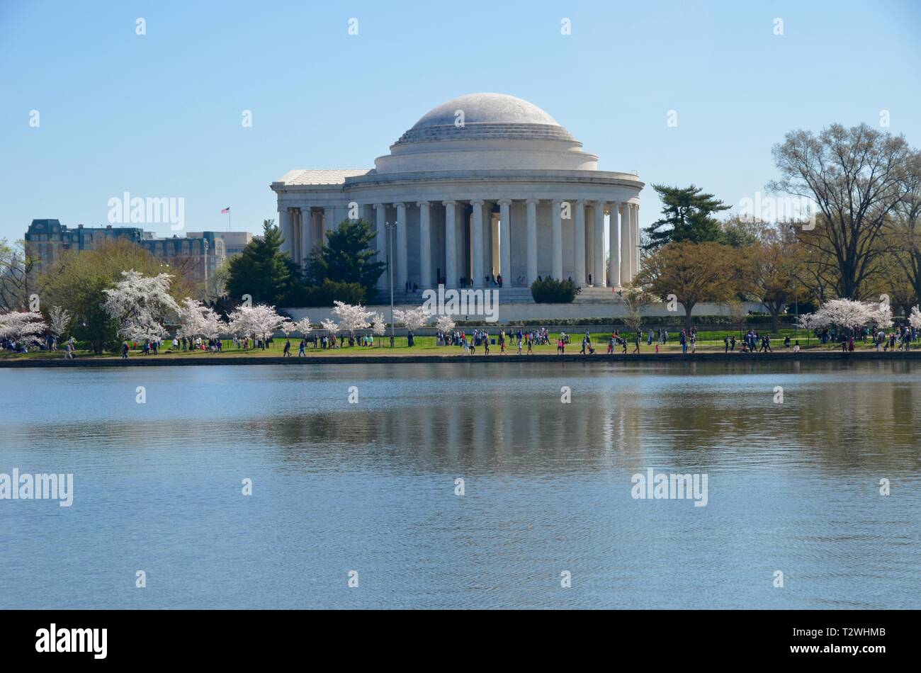 Cherry Blossom Festival. Washington, DC, USA Stock Photo Alamy