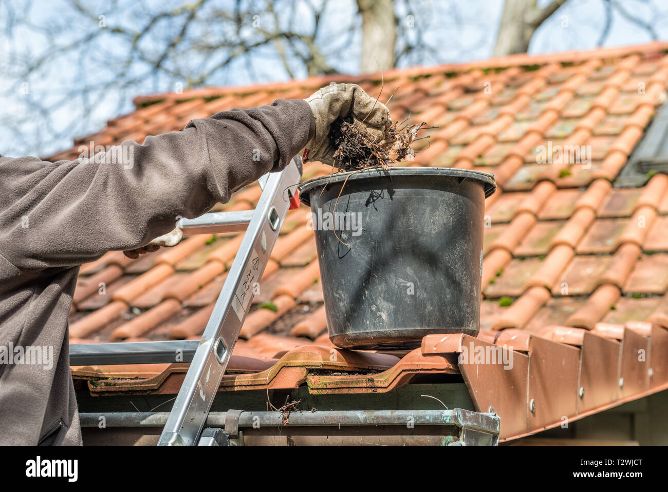Man on a ladder cleaning house gutters Stock Photo - Alamy
