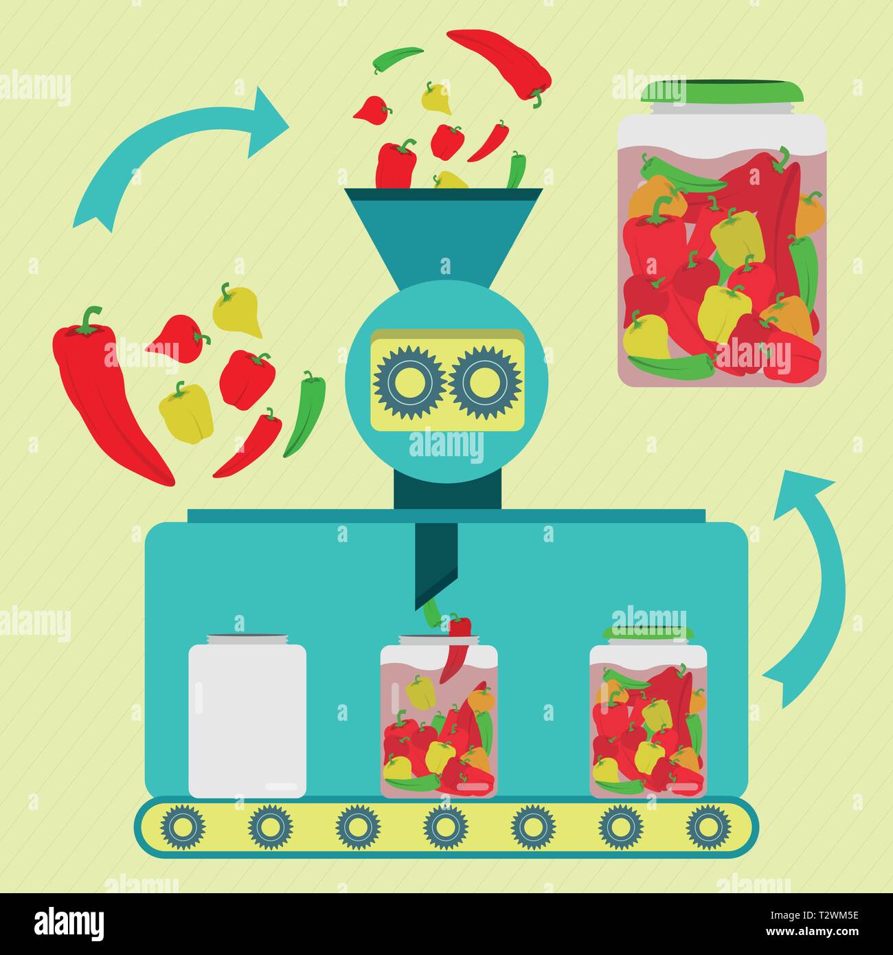 Pickles series production. Chilli peppers pickles series production. Fresh assorted chilli peppers being processed. Bottled pickled chilli peppers. Stock Vector