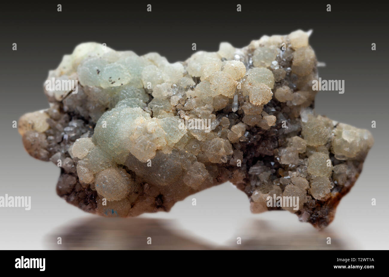 prehnite mineral specimen Stock Photo