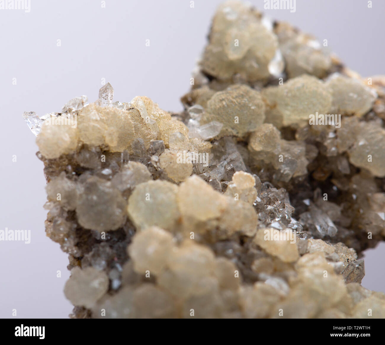 prehnite mineral specimen Stock Photo