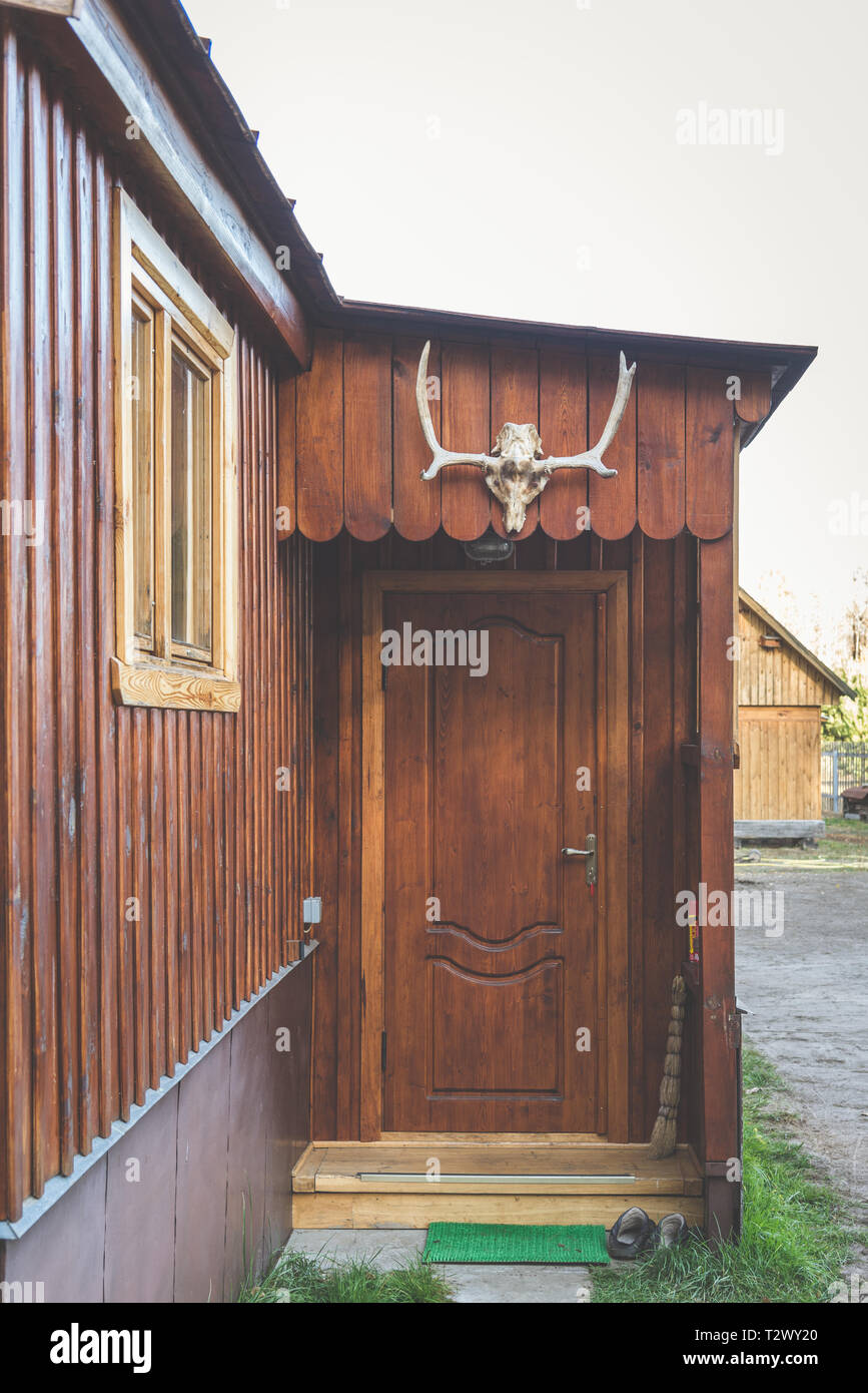Animal skull over the entrance to the wooden house. Hunting trophy Stock Photo