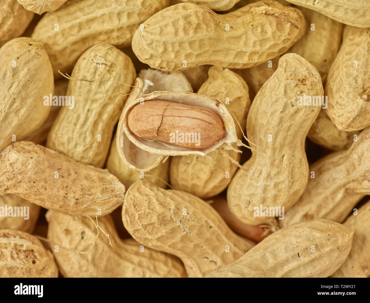 Peanuts food stilllife Stock Photo Alamy