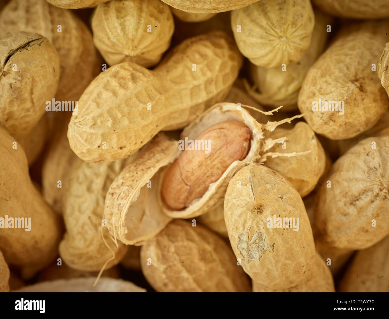 Peanuts food stilllife Stock Photo Alamy
