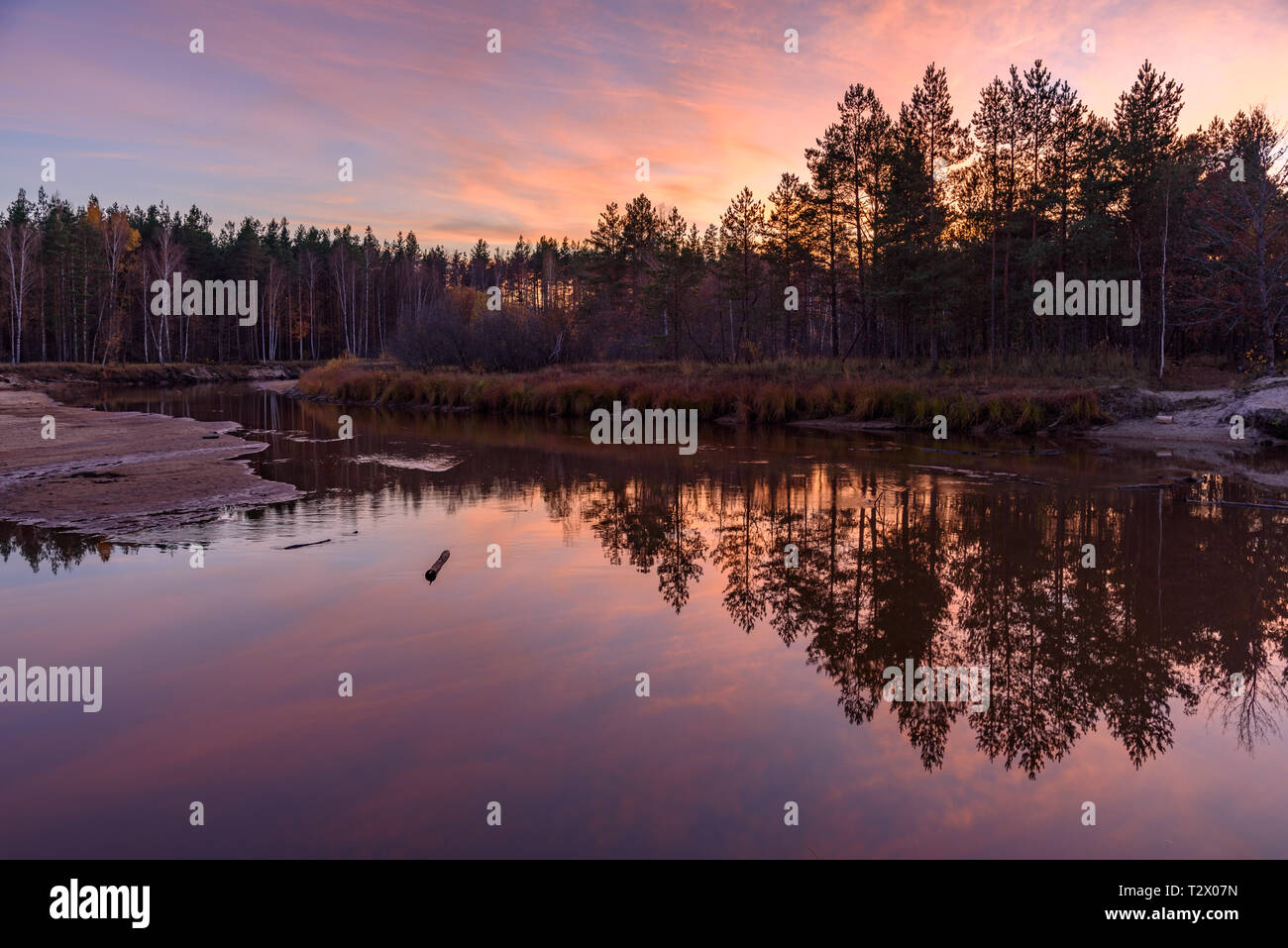 Smooth surface of the water in the river. Reflection in the water of trees, forest and sunset Stock Photo