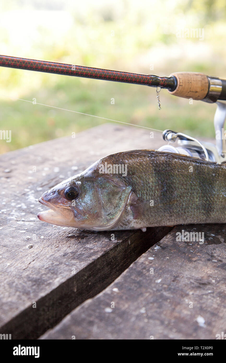 Angler fishing vintage hi-res stock photography and images - Page